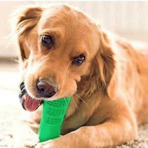 Dog Brushing Stick: The Revolutionary Way to Clean Your Dog’s Teeth (Vet Recommended)