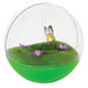 Butterfly Ball