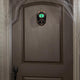 Animated Eyeball Doorbell