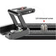 Professional Camera Flex-Z Tilt & Pan Head