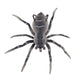 (🎁HOT SALE-50% OFF) Spider Soft Lure Fishing Lures
