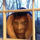 Scary Peeper Creeper