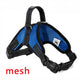 No Pull Dog Harness