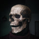 Full Head Skull Mask-🎁Early Halloween Promotion🎃