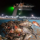 Deep Drop Fishing Light