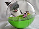 Butterfly Ball
