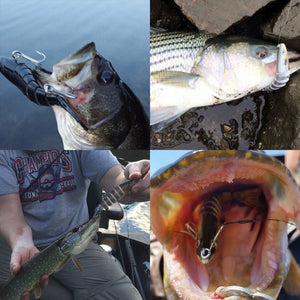 Swimming Fishing Lure