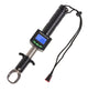 3IN1 Led Fish Light