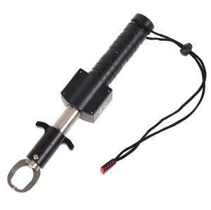3IN1 Led Fish Light