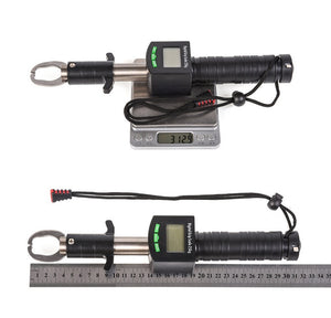 3IN1 Led Fish Light