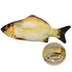 REALISTIC LOOKING CAT FISH TOY