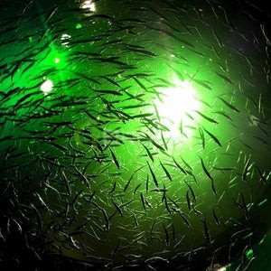 Deep Drop Fishing Light